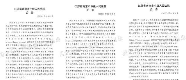 苏宁系3家公司破产重整！甩卖资产不停，苏宁易购能否独善其身？