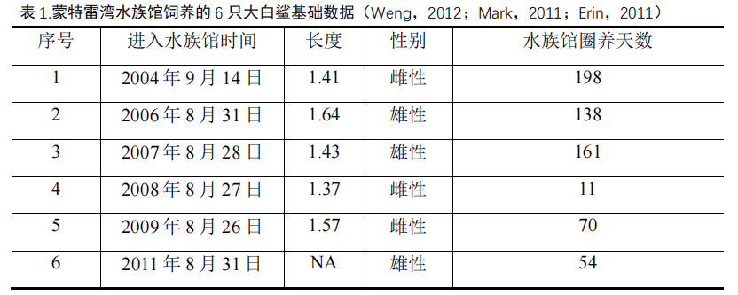 无法囚禁的鲨鱼——大白鲨的水族馆养殖史